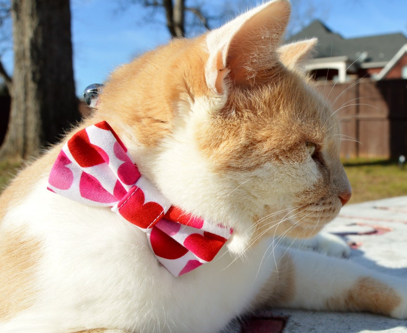 Heart Valentines Cat Collar With Bow Tie Valentines Day Cat Etsy
