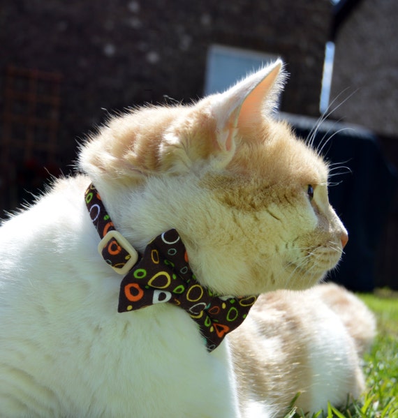 Brown Designer Cat Collar Breakaway - Bow tie Removable Kitten