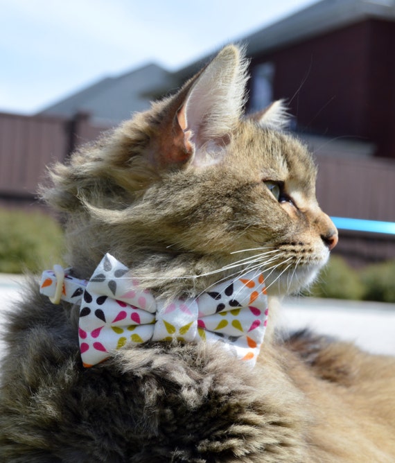 etsy cat tie