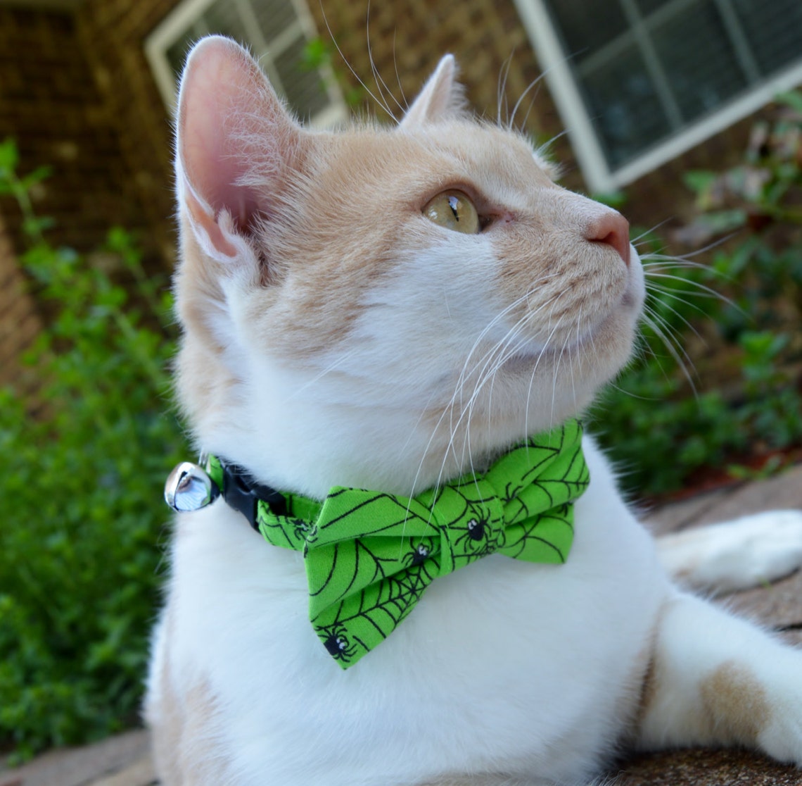 Halloween Cat Collar Halloween Cat Bow Tie Halloween Costume Etsy