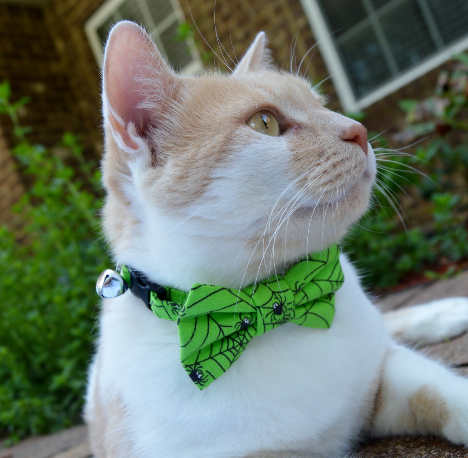 Halloween Cat Collar Halloween Cat Bow Tie Halloween Costume Etsy