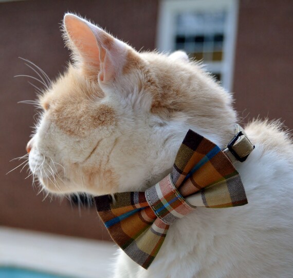 Nœud Papillon A Carreaux Pour Chat Collier A Carreaux Pour Etsy France