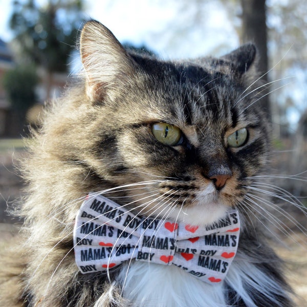 Mama's boy cat collar, Mothers Day cat bow tie, Valentine's Day cat bow, Mothers Day gift from cat, cat gift for woman, gift for cat mom