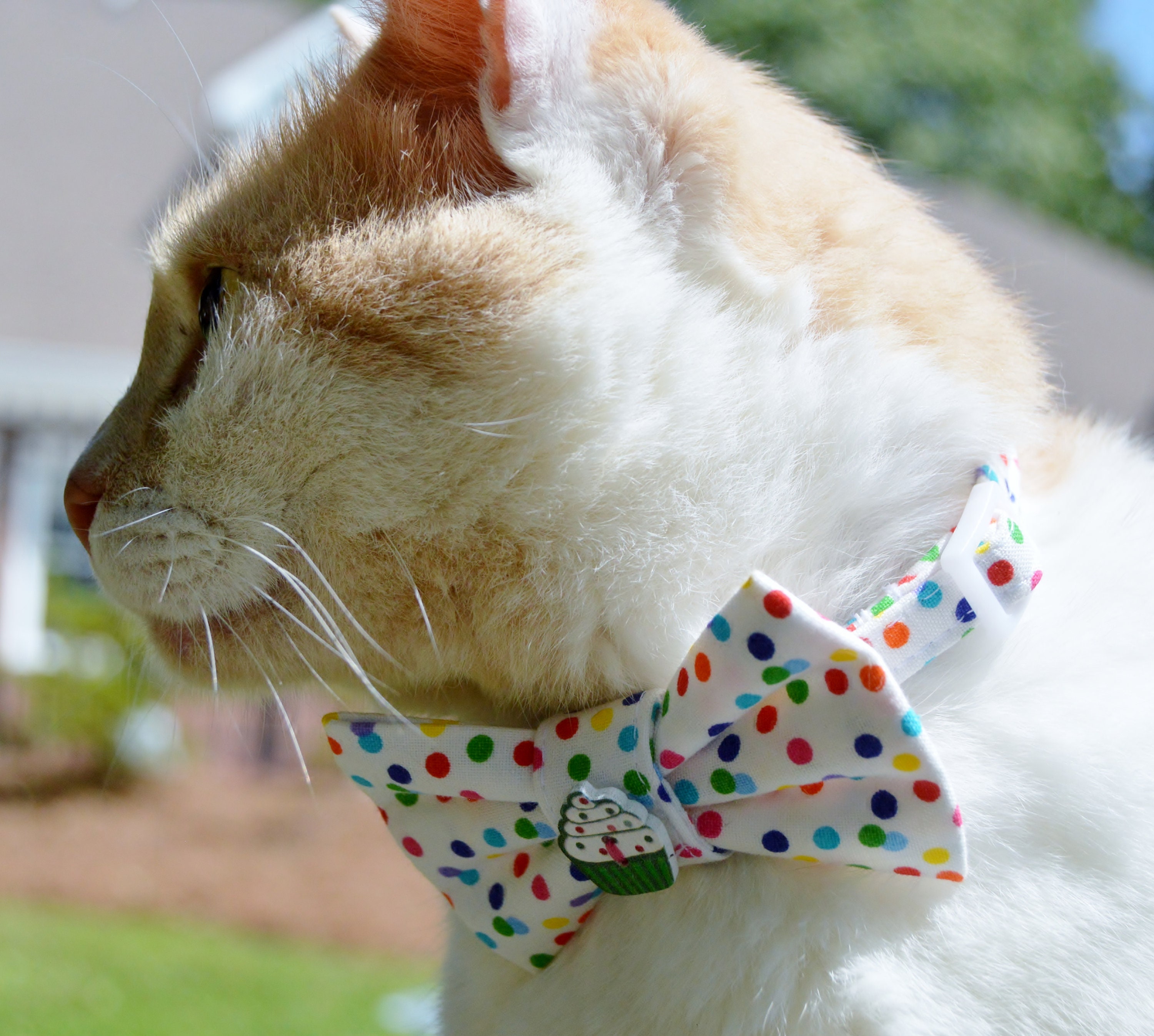 Birthday Cat Bow Tie Collar Cat Birthday Cat Birthday Bow Etsy