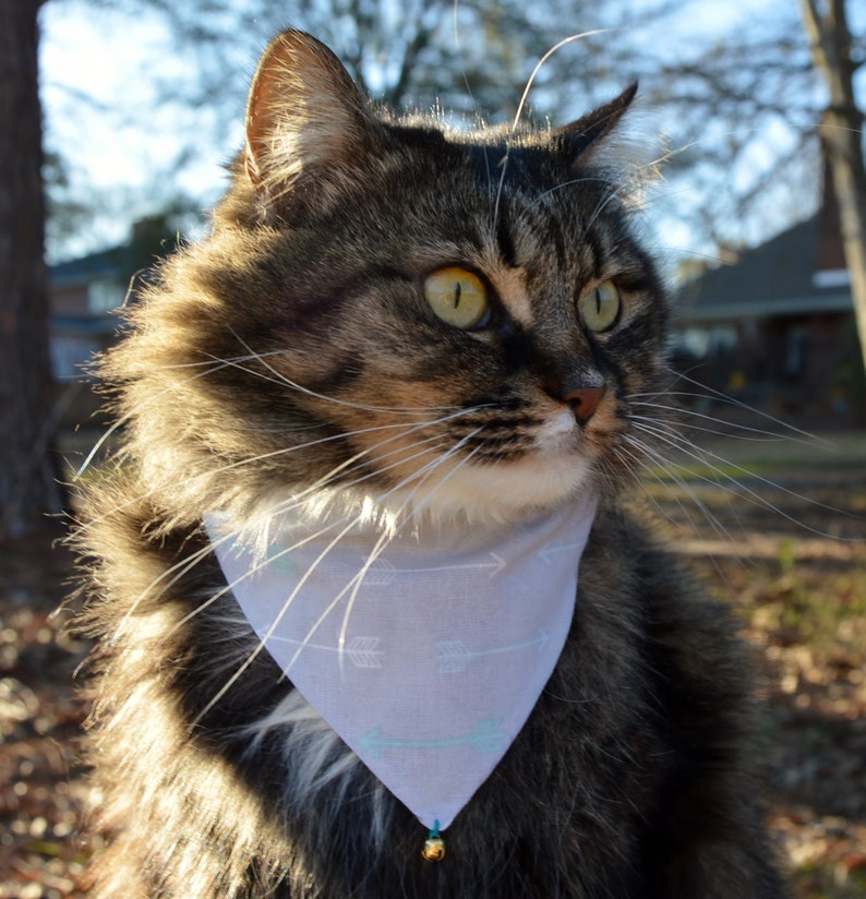 arrow cat bandanas 2 reversible slip over collar cat bandanas nature cat bandana bandana for cat 2 Birds of a feather cat bandanas
