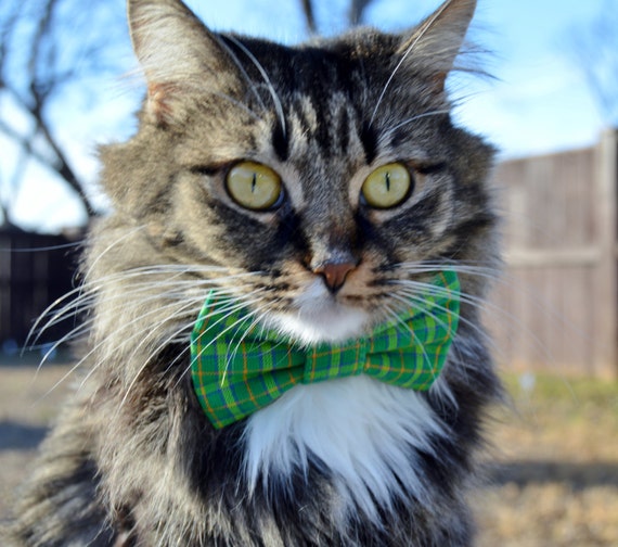 Green Plaid Cat Bow Tie Collar Green Plaid Collar Plaid Cat