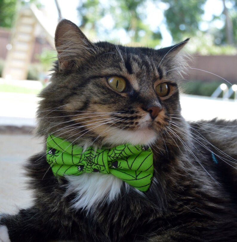 Halloween Cat Collar Halloween Cat Bow Tie Halloween Costume Etsy