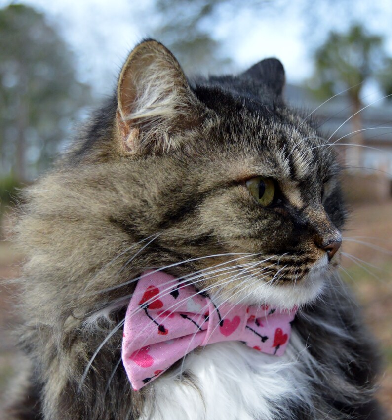 Pink Valentines Day cat bow tie collar Valentines Day bow Etsy