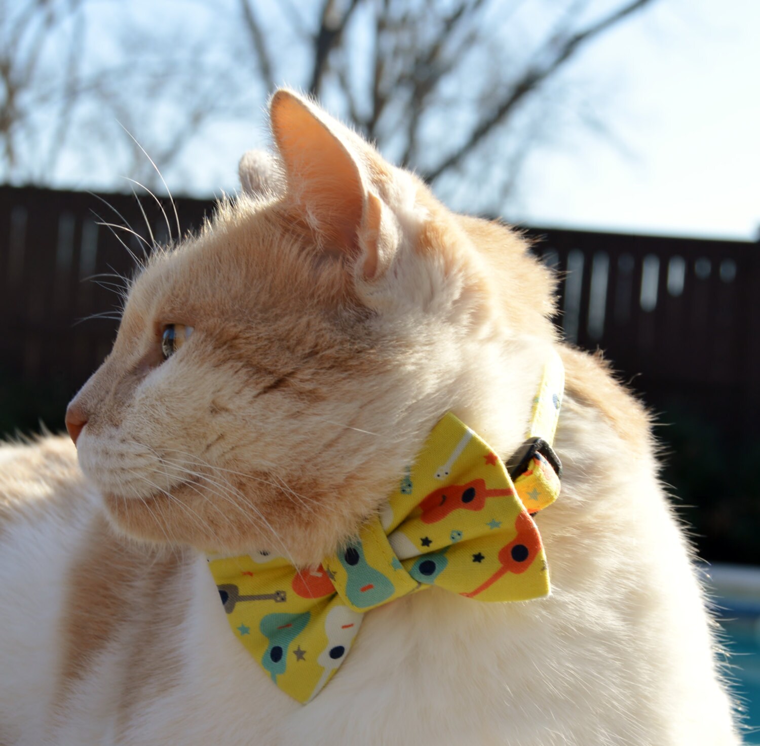 Guitar Cat Bow Tie Collar Guitar Cat Collar Music Cat Bow Etsy