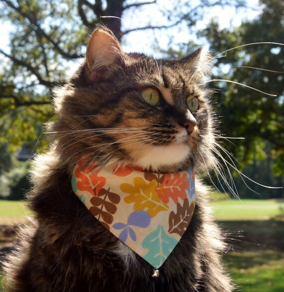 Cat neckerchief cheap collar