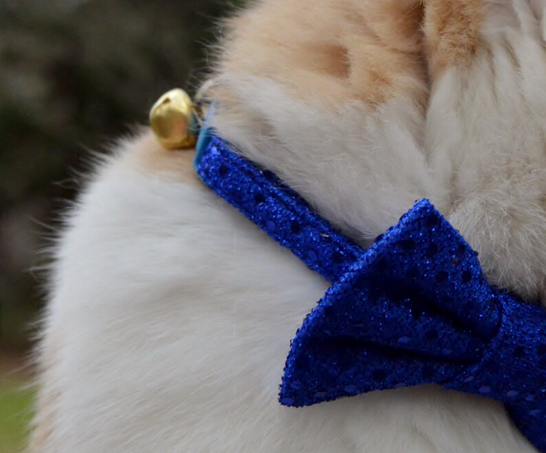 blue cat bow tie cat collar with sequins fancy cat bow tie sparkle cat collar blue sequin cat bow tie collar blue sequin cat collar