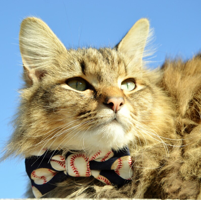 Baseball cat bow tie cat collar baseball bow tie cat Etsy