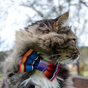 Cinco de Mayo cat collar and bow, Cinco de mayo, Cinco de Mayo cat bow tie collar, fiesta Cat Collar with bow tie, Cat collar Cinco de Mayo image 2