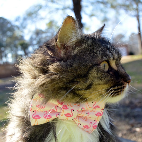 Pink flamingo bow tie collar for cat, flamingo cat collar, flamingo cat bow tie, summer cat collar summer bow tie for cat, Flamingo, pink