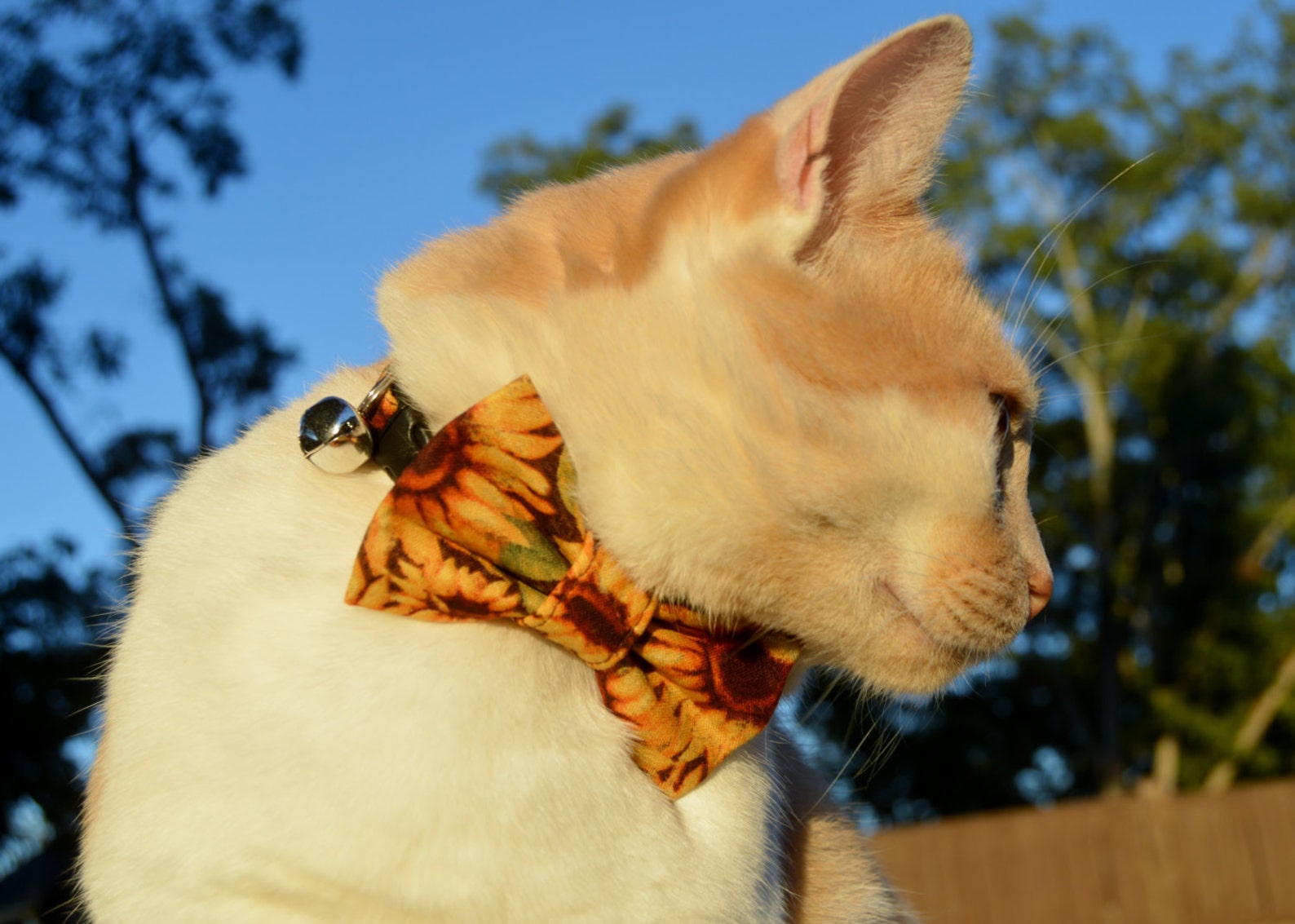 Sunflower Cat Collar Sunflower Cat Bow Tie Collar Fall Cat Etsy