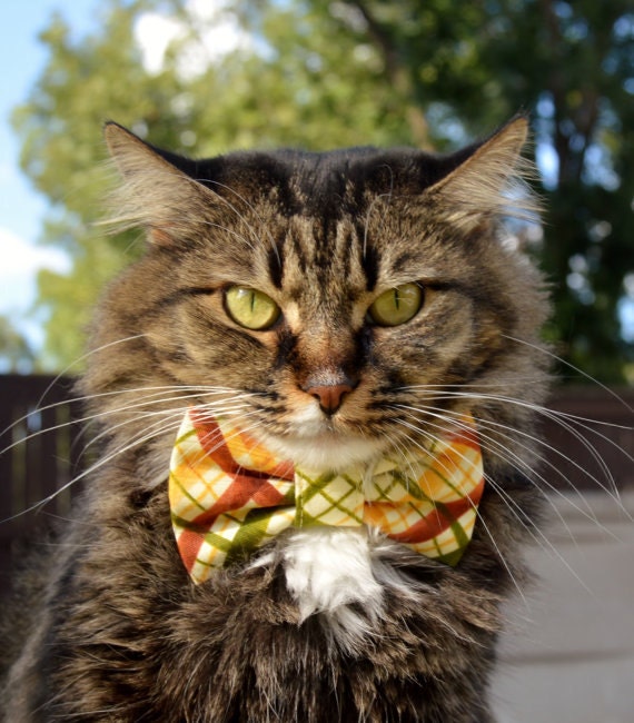 Plaid Bow Tie for Cat Fall Cat Collar Plaid Cat Collar Etsy