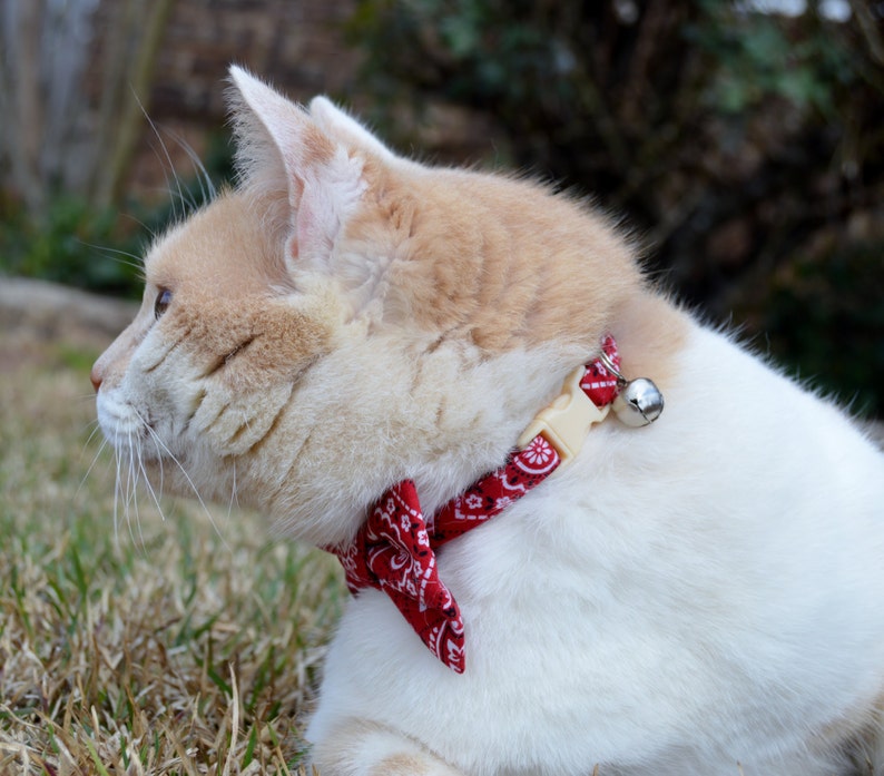 Cat Bow Tie Cat Collar Red Bandana Cat Collar Bandana Cat Etsy