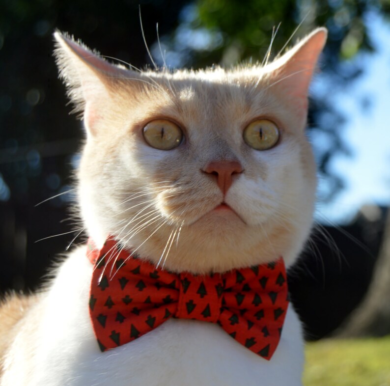 cat christmas bow tie collars