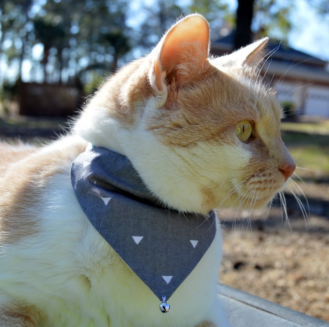 2 Arrow cat bandanas 2 reversible slip over collar cat Etsy