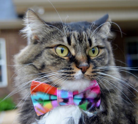 etsy cat tie