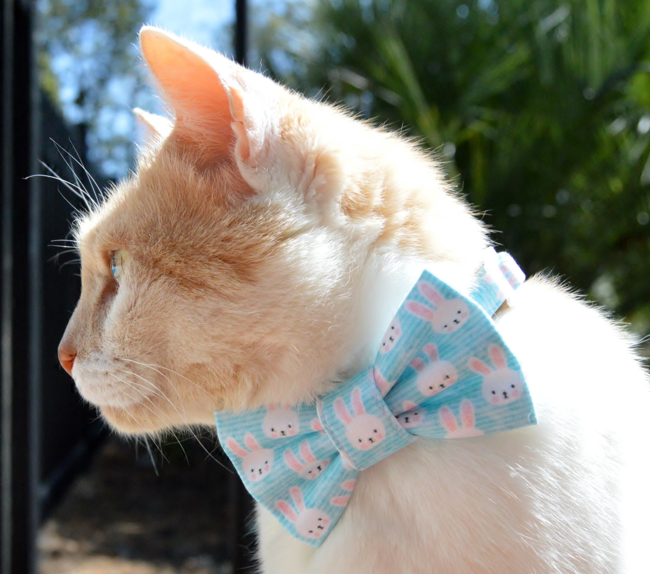 Easter Bunny Bow Tie for Cat Easter Bunny Cat Collar Rabbit Etsy