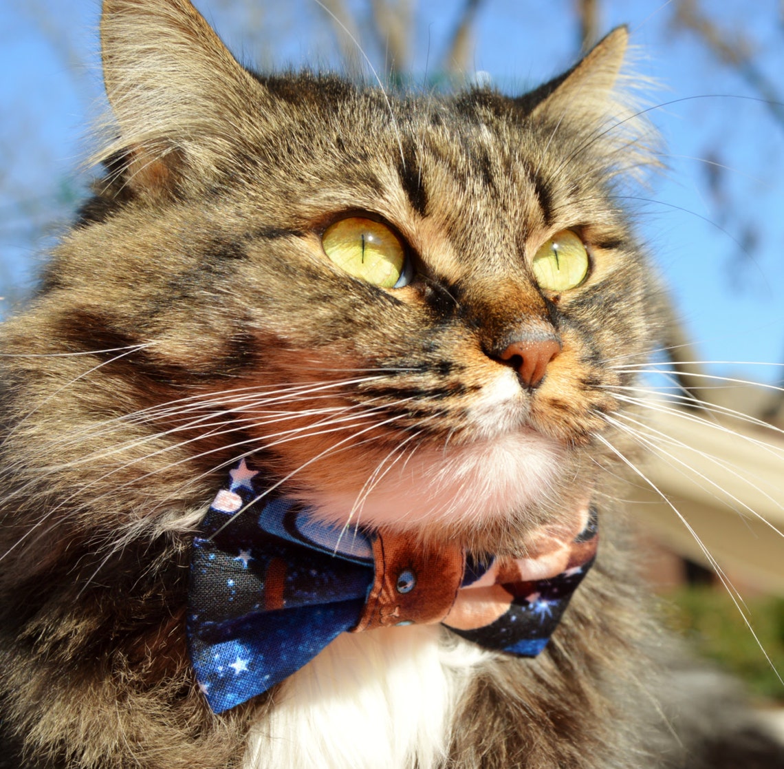 Cats in Space Bow Tie Collar for Cat Cat Collar Cat Bow Tie Etsy