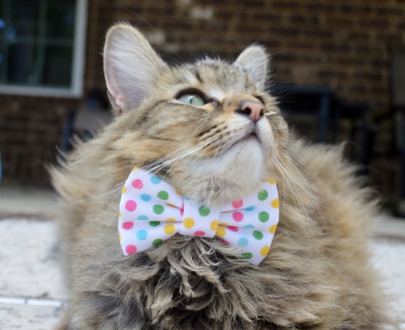etsy cat tie