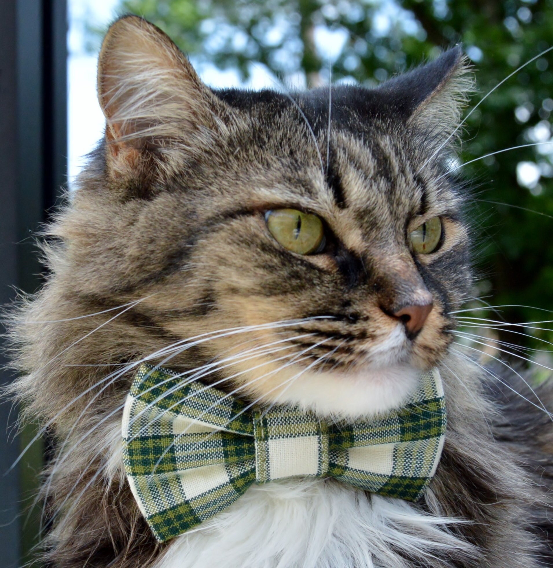 Dog Cat Collar Plaid Bow Tie Removable ~ Brown / Beige ~ Luxury Stripe S M