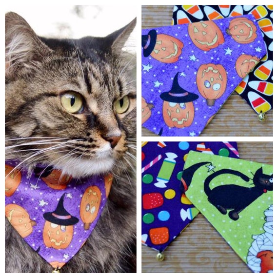 halloween cat bandana