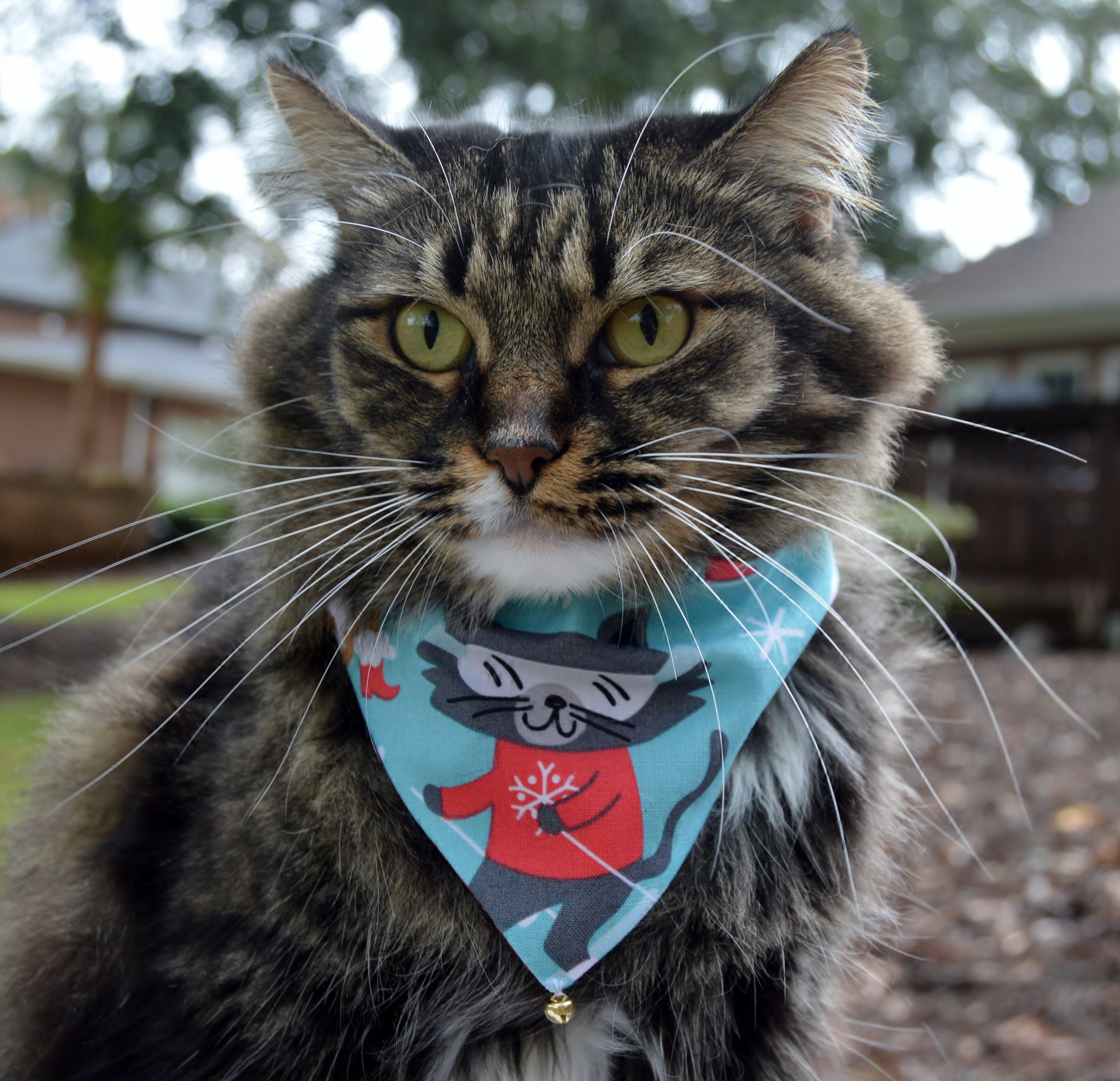 Christmas Cat Bandana Set of 2 Reversible Slip Over Collar Cat