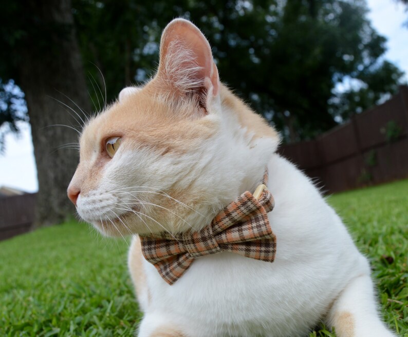 Fall Plaid Cat Bow Tie Plaid Cat Collar Plaid Thanksgiving Etsy