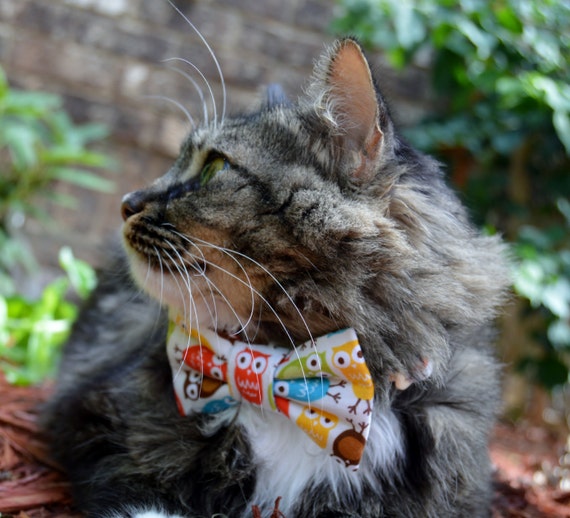 Bow tie with cats on it cheap