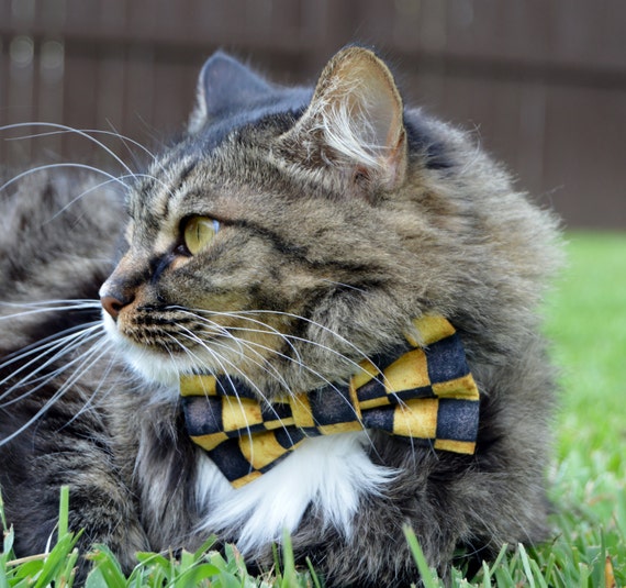 Rustic Black Checkered Cat Bow Tie Checkered Cat Collar Kitten