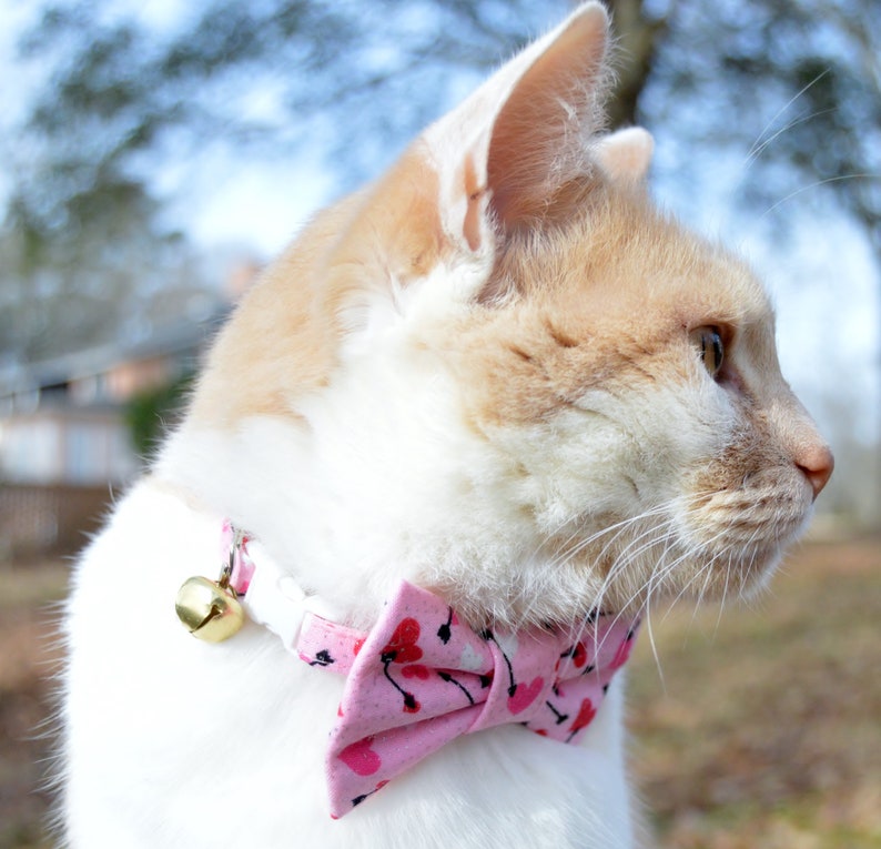 Pink Valentines Day cat bow tie collar Valentines Day bow Etsy