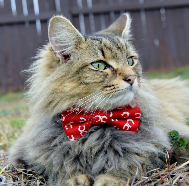 Cat bow tie, cat collar, cowboy cat collar, cowboy cat bow tie, western cat bow tie, horseshoe cat bow tie, cat costume, dog bow tie, kitten
