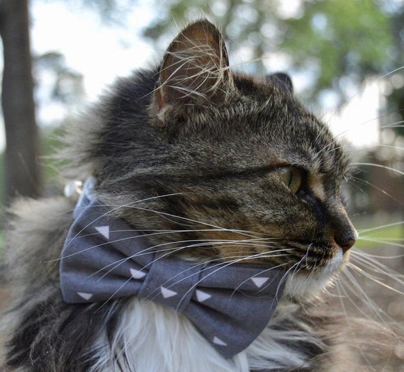 Grey Triangle Cat Bow Tie Cat Bow Tie Cat Collar Cat Bow Tie