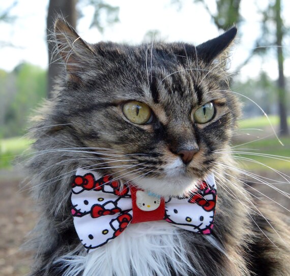 Hello Kitty Cat Bow Tie Collar Hello Kitty Cat Collar Hello Etsy
