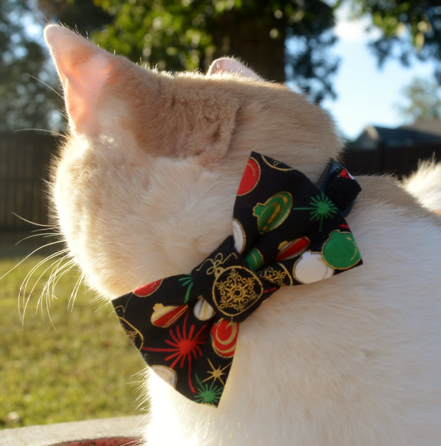 Christmas Cat Collars 