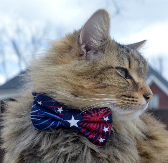 etsy cat tie