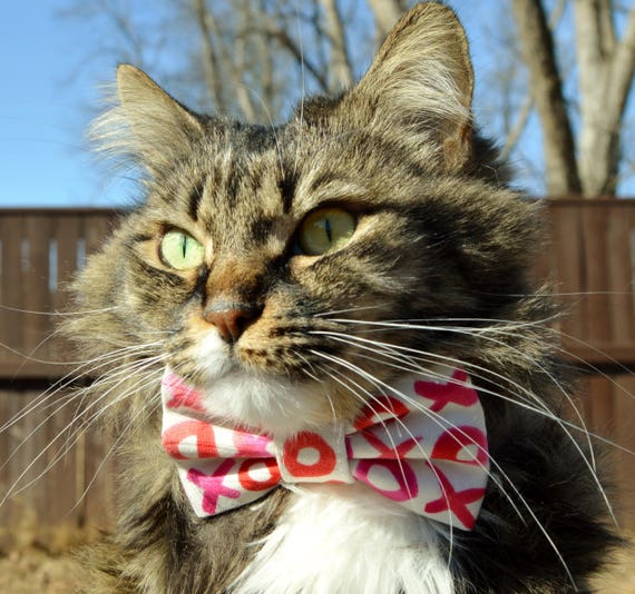 etsy cat tie