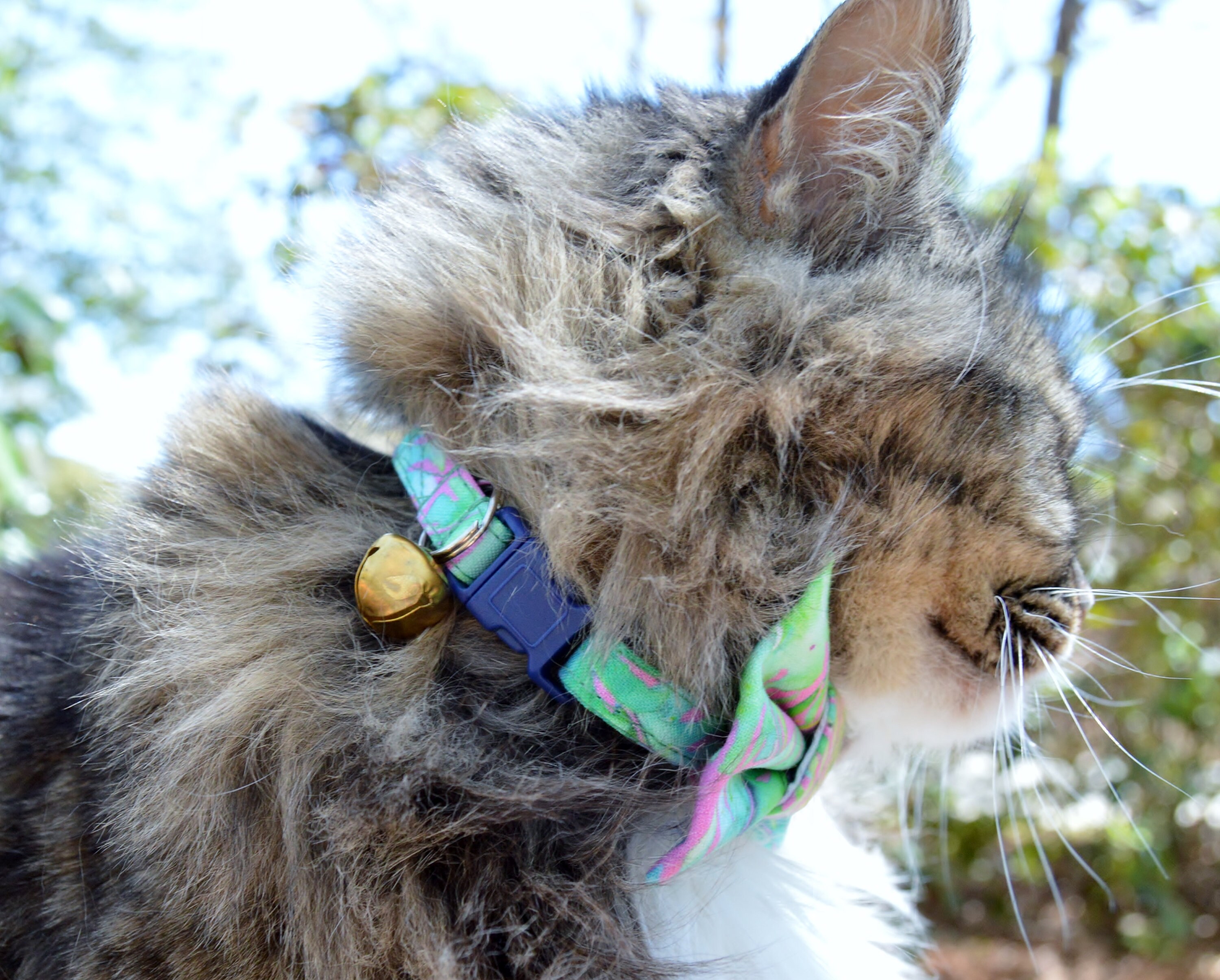 Tropical Cat Bow Tie Hawaiian Cat Collar Tropical Summer Cat Etsy