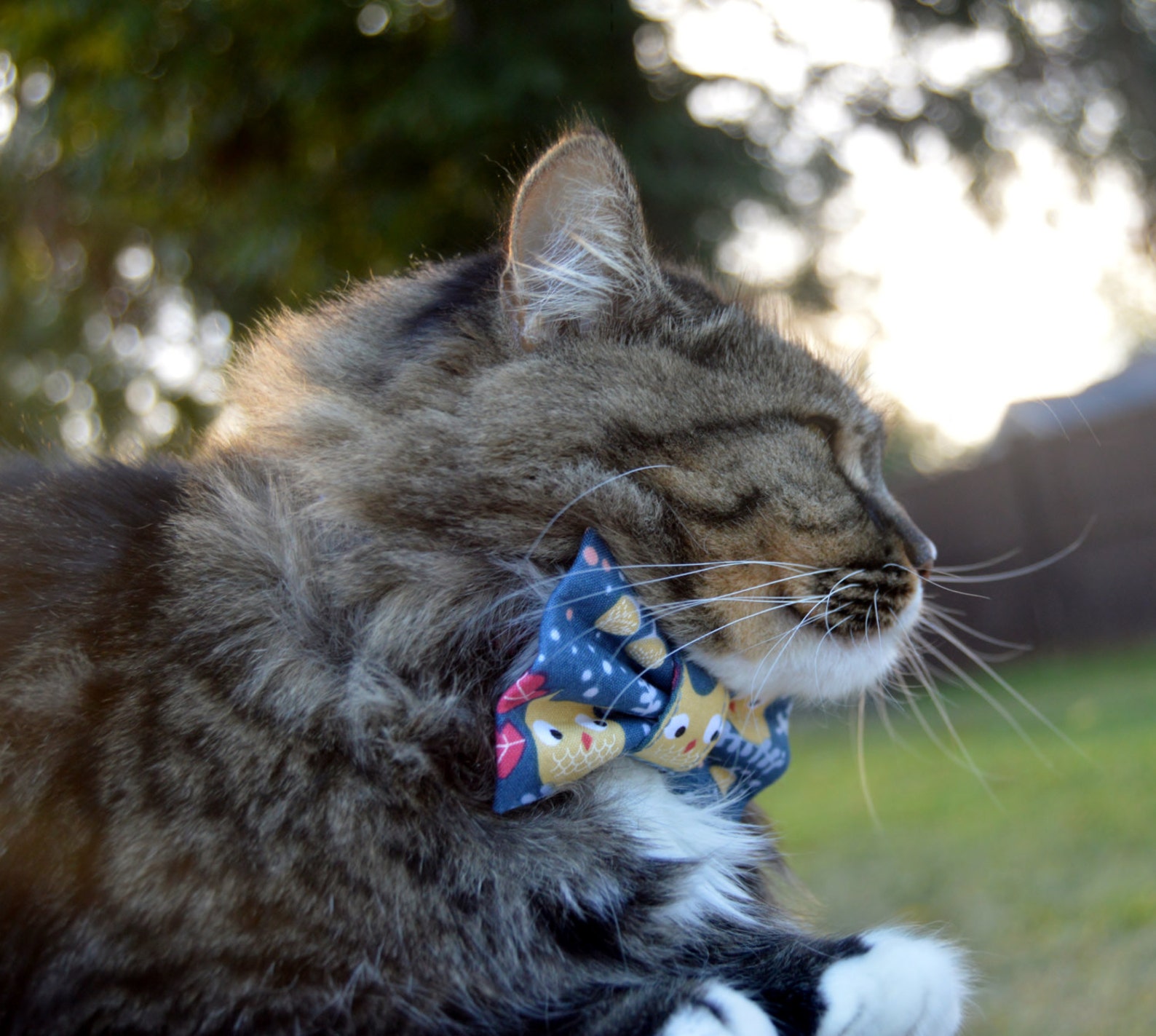 Winter Owl Cat Bow Tie Collar Winter Cat Bow Tie. Winter Cat Etsy