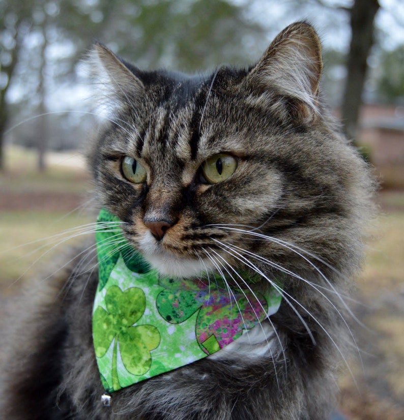 st patricks day bandanas for dogs