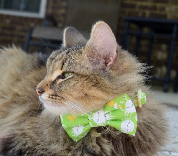 etsy cat tie