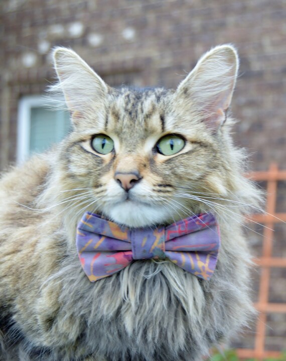 etsy cat tie