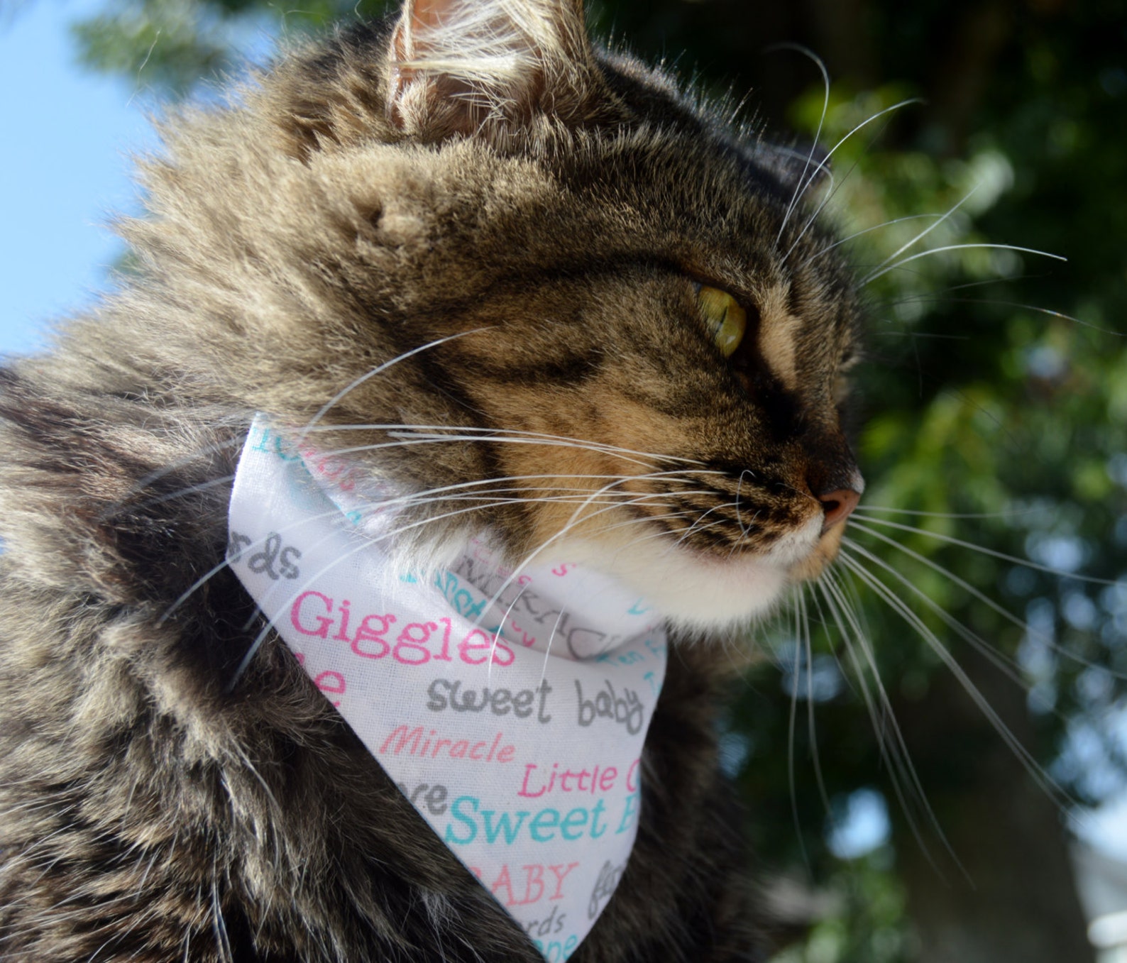 New Baby Cat Bandana Set of 2 Reversible Slip Over Collar Cat Etsy