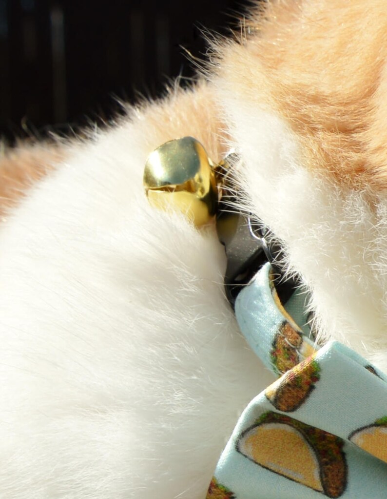 Taco Cat Collar Breakaway Cat Collar Quick Release Buckle Etsy