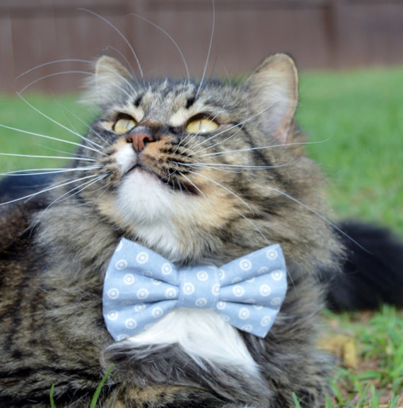 etsy cat tie