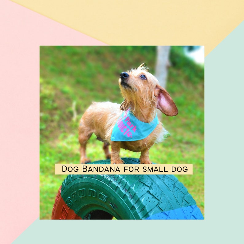 Dog Collar & Bandana Sewing Pattern All Sizes XSL (PDF Download) Etsy