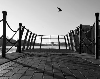 Black And White Nature Photography Print, Bird Print, Bird Photo, Pier Print, Dock, Urban Nature, Nature Wall Art, Mudchute, London, England